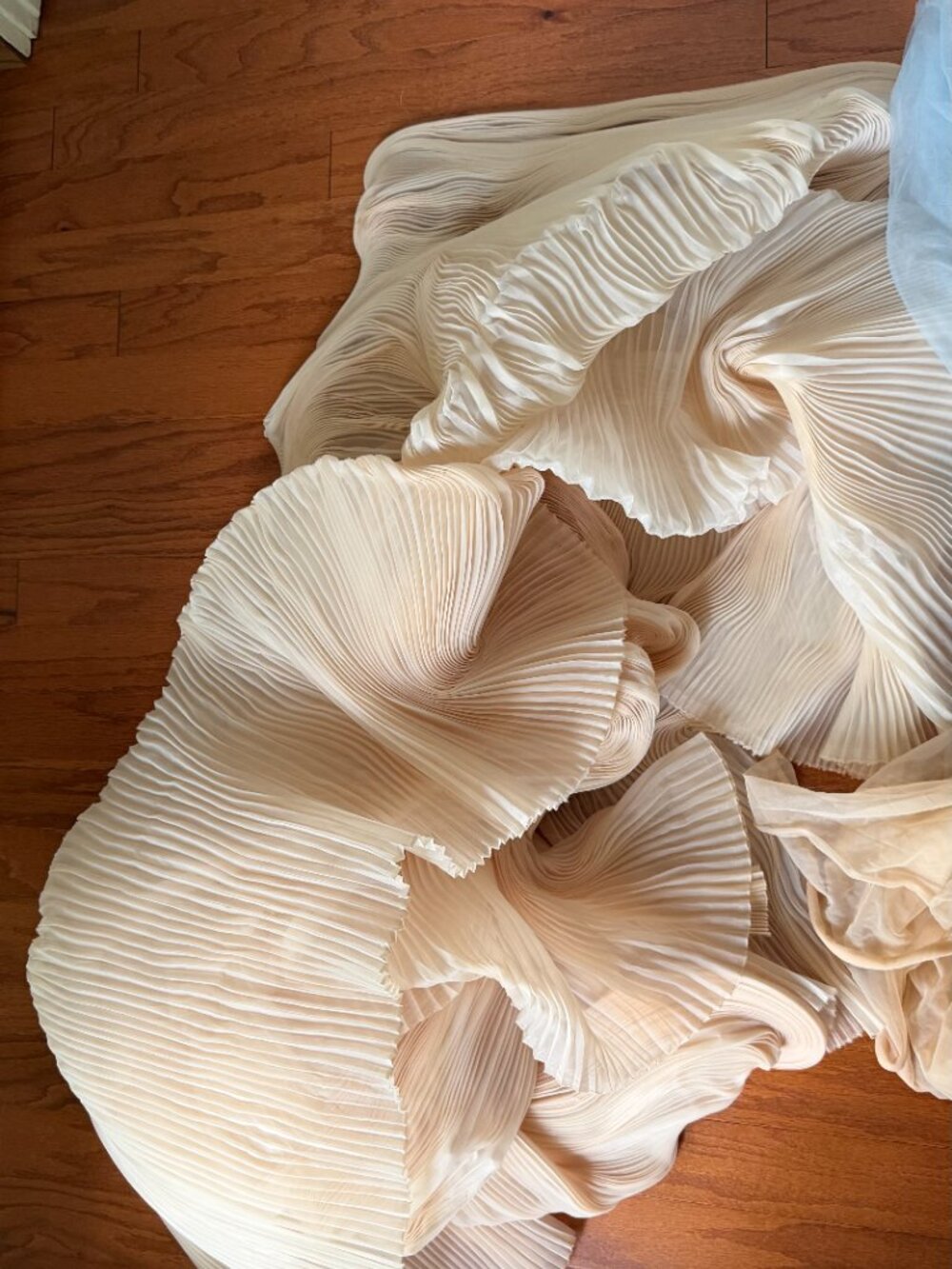 Tulle - Picture 11 of 11